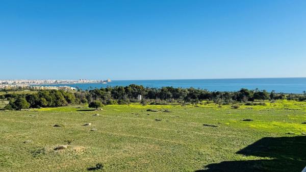 Ático en venta en Ático en Punta Prima, Torrevieja, Torrevieja thumbnail 1