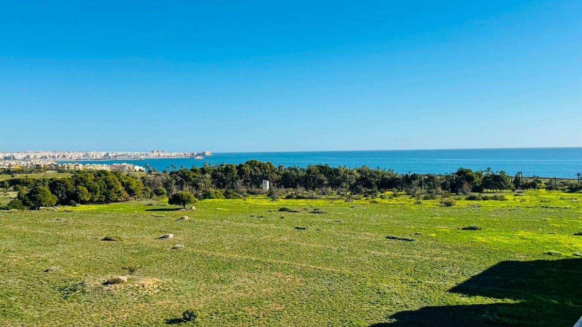 Venta de ático en  Ático en Punta Prima, Torrevieja, Torrevieja photo 2