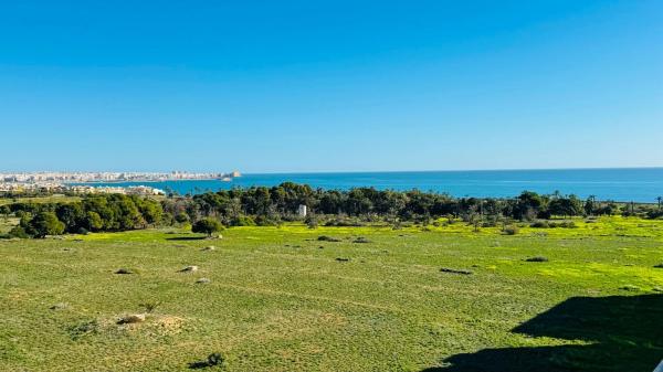 Ático en venta en Ático en Punta Prima, Torrevieja, Torrevieja thumbnail 1