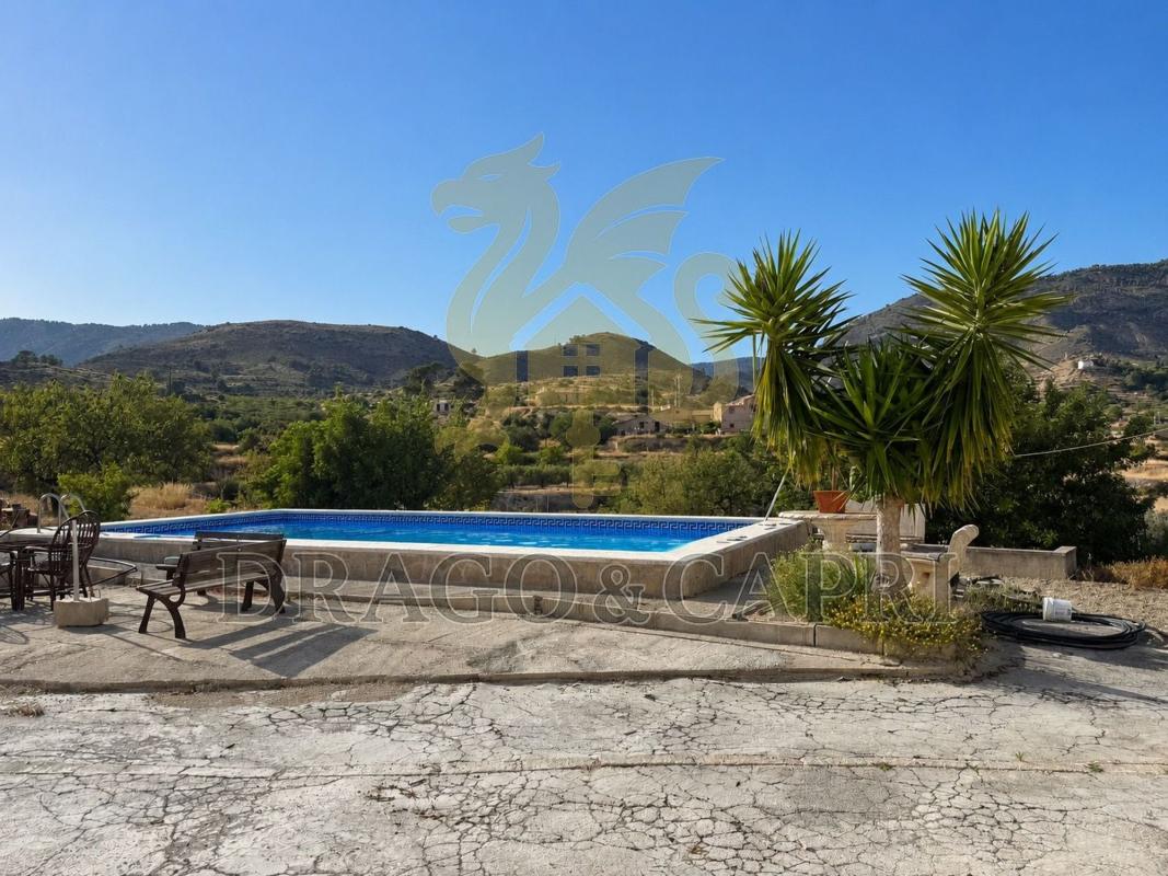 Sale of rural property in Finca rústica en Relleu , Relleu photo 4