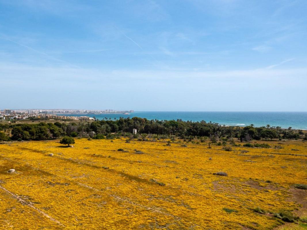 Продажа квартиры на Piso en Calle Arrecife, Punta Prima, Torrevieja, Торревьеха
 photo 2