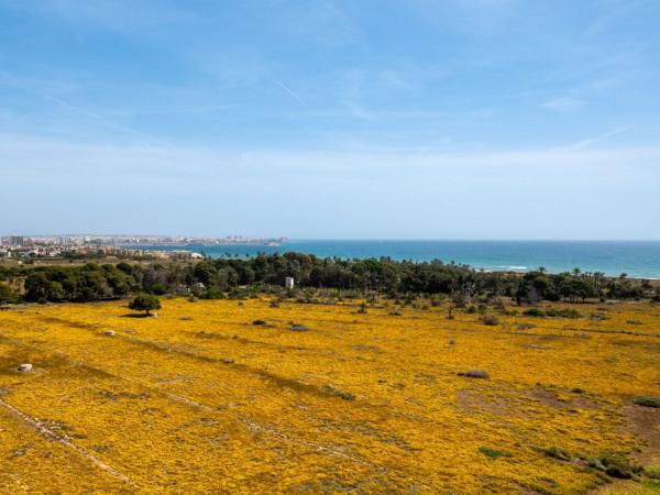 Продажа квартиры на Piso en Calle Arrecife, Punta Prima, Torrevieja, Торревьеха
thumbnail 1