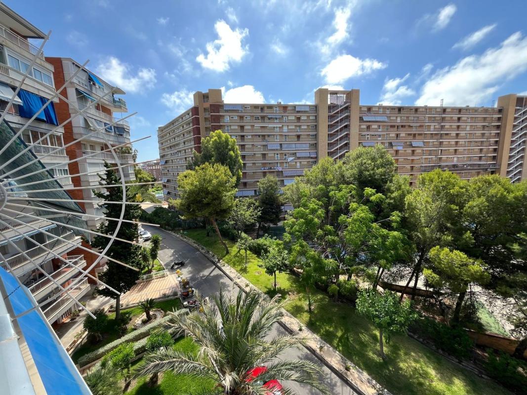 Sale of apartment in Piso en Avenida Bruselas, Playa de San Juan, Alicante / Alacant, Alicante
photo 5