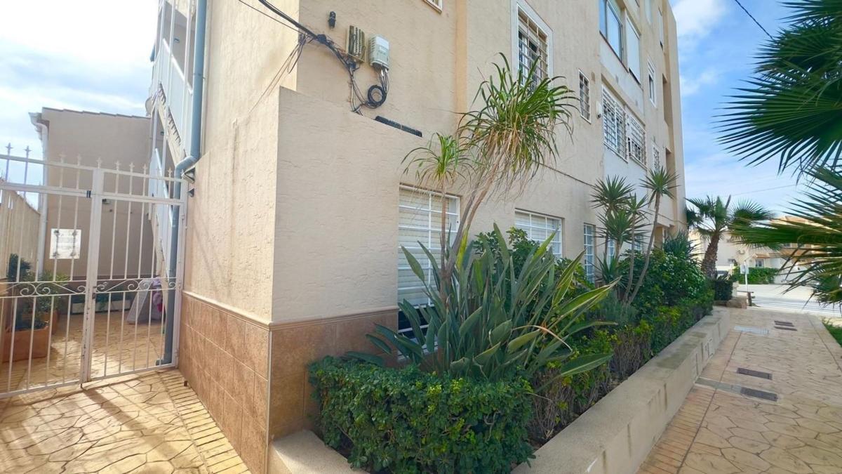 Venta de piso en Piso en Zona los Frutales, Torrevieja, Torrevieja
photo 3
