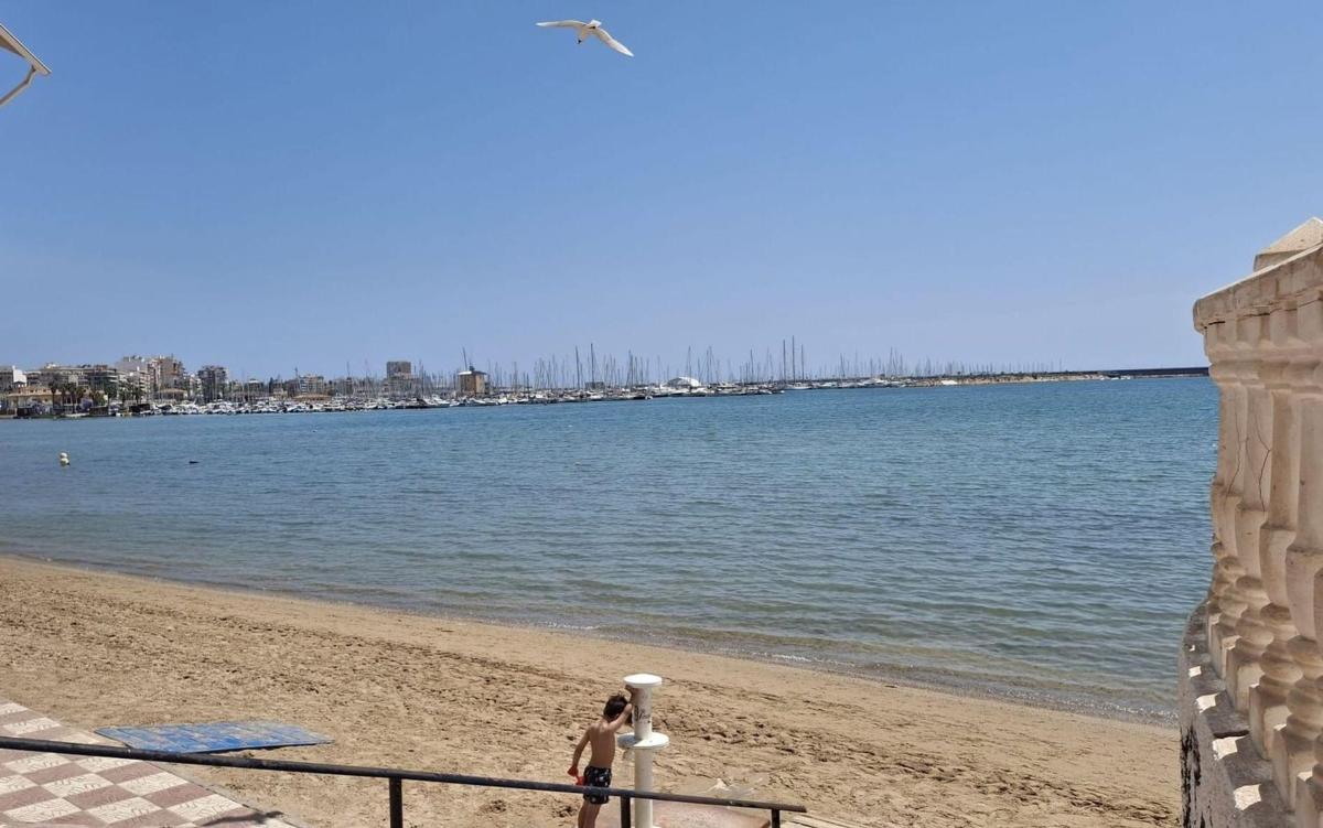 Продажа квартиры на Piso en El Acequión, Torrevieja, Торревьеха
 photo 4