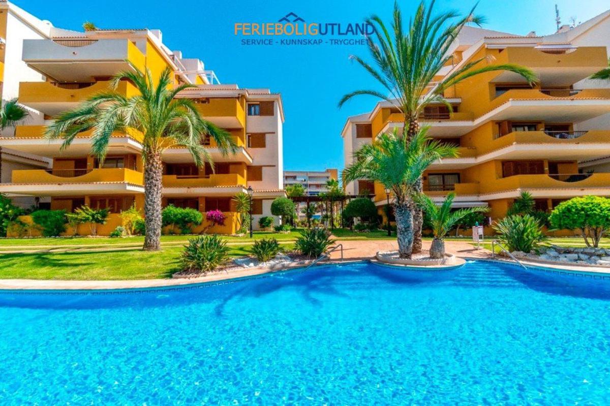 Продажа квартиры на Piso en Avenida de las Olas s/n, Punta Prima, Torrevieja, Торревьеха
 photo 5