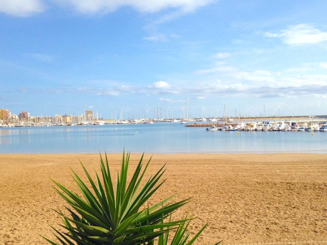 Продажа квартиры на Piso en Calle Doña Sinforosa, 1, El Acequión, Torrevieja, Торревьеха
 photo 3