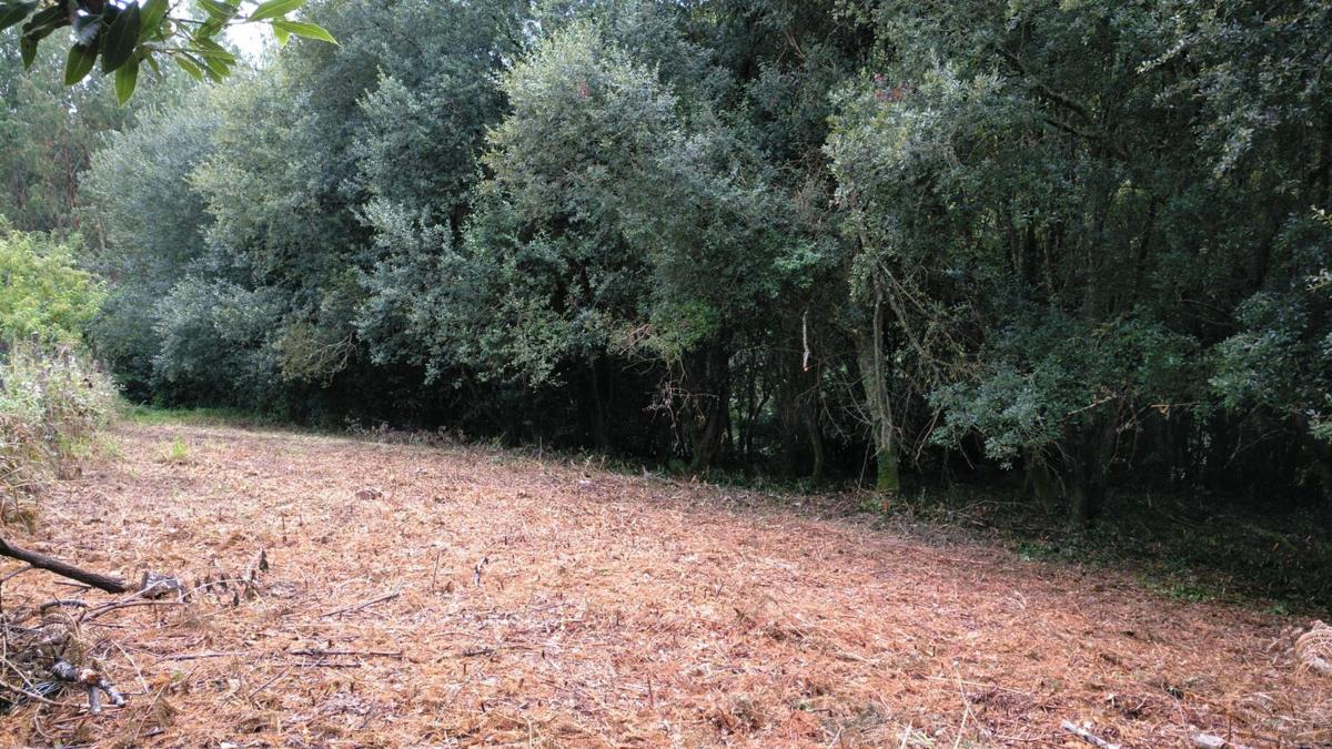 Propiedades en venta y alquiler en España photo 2