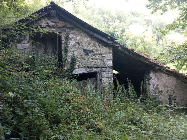 Rustic farm for sale in Finca rústica en Monte Alto - Zalaeta - Atocha, A Coruña , A Coruña photo 1