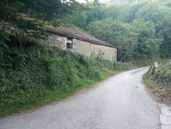 Rustic farm for sale in Finca rústica en Monte Alto - Zalaeta - Atocha, A Coruña , A Coruña thumbnail 2