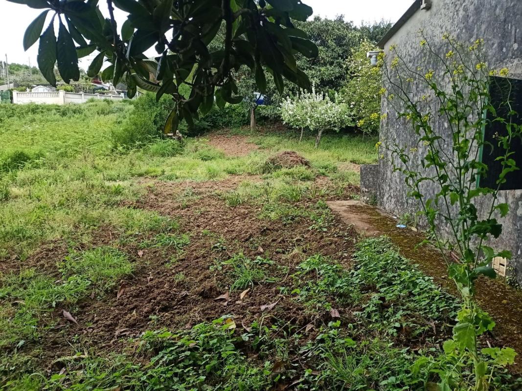 Sale of rural property in  Finca rústica en Lugar Veiga, 5, Betanzos , Betanzos photo 5