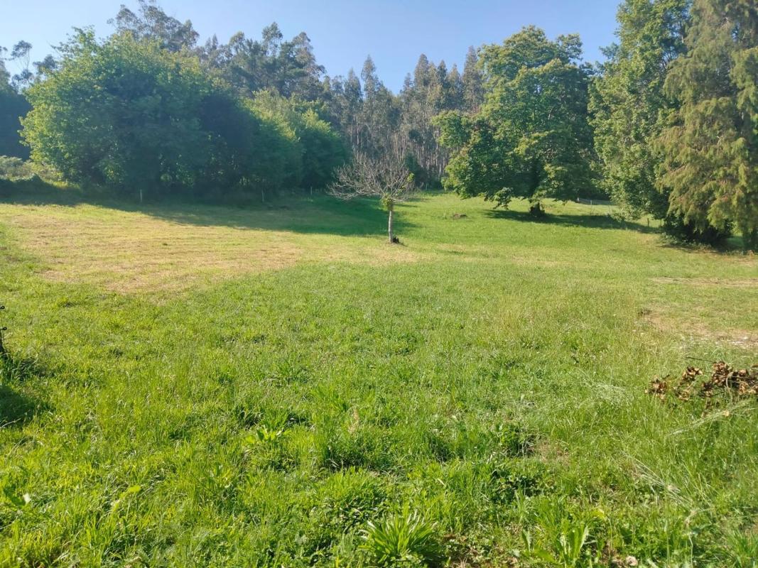 Недвижимость на продажу и в аренду в Испании photo 2