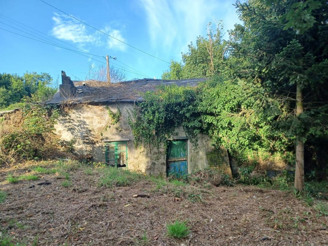 Продажа загородного участка в Finca rústica en Coucixoso, 3, Somozas , Сомосас photo 3
