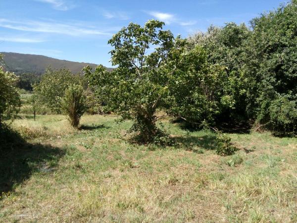 Casa rural en Lugar Piñeiro, 6, San Sadurniño photo 1