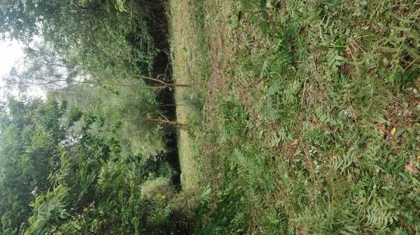 Casa rural en Pardiñas s/n, Moeche thumbnail 2