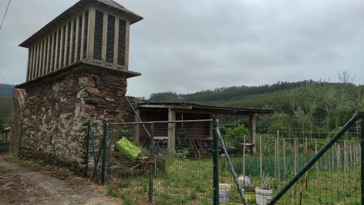 Properties for sale and rent in Spain photo 5