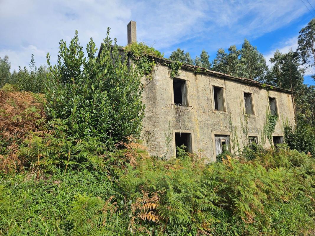 Properties for sale and rent in Spain photo 5