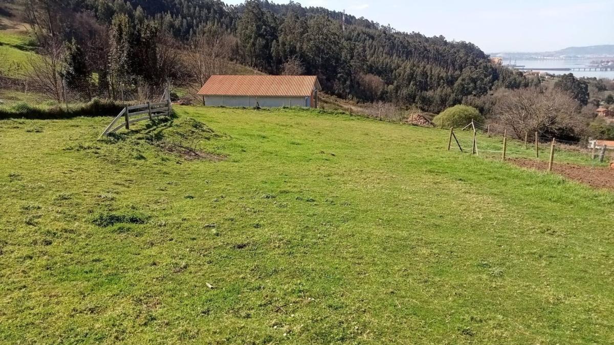 Недвижимость на продажу и в аренду в Испании photo 2
