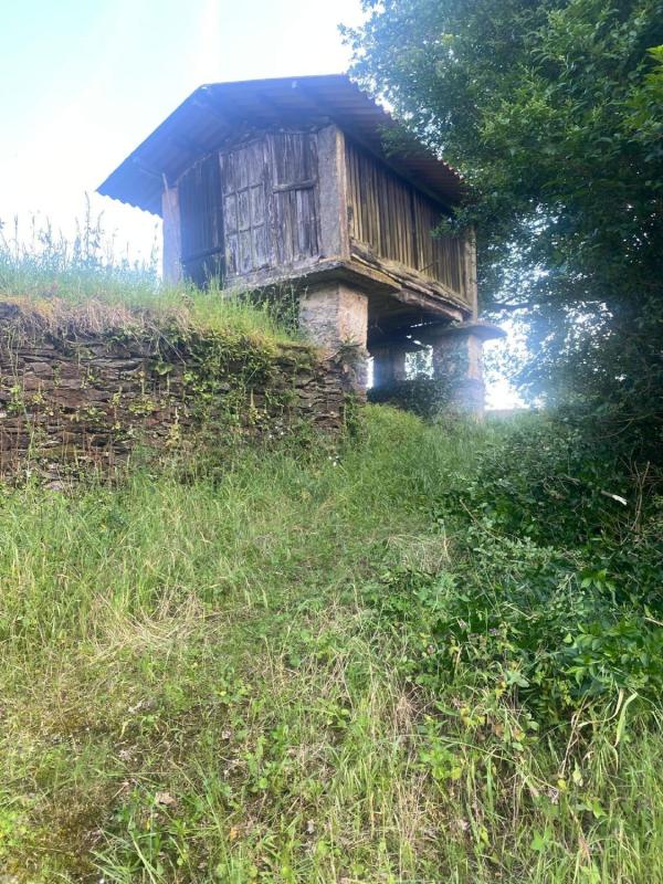 Недвижимость на продажу и в аренду в Испании photo 4