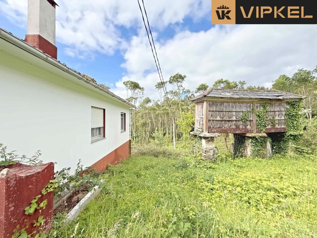Properties for sale and rent in Spain photo 5