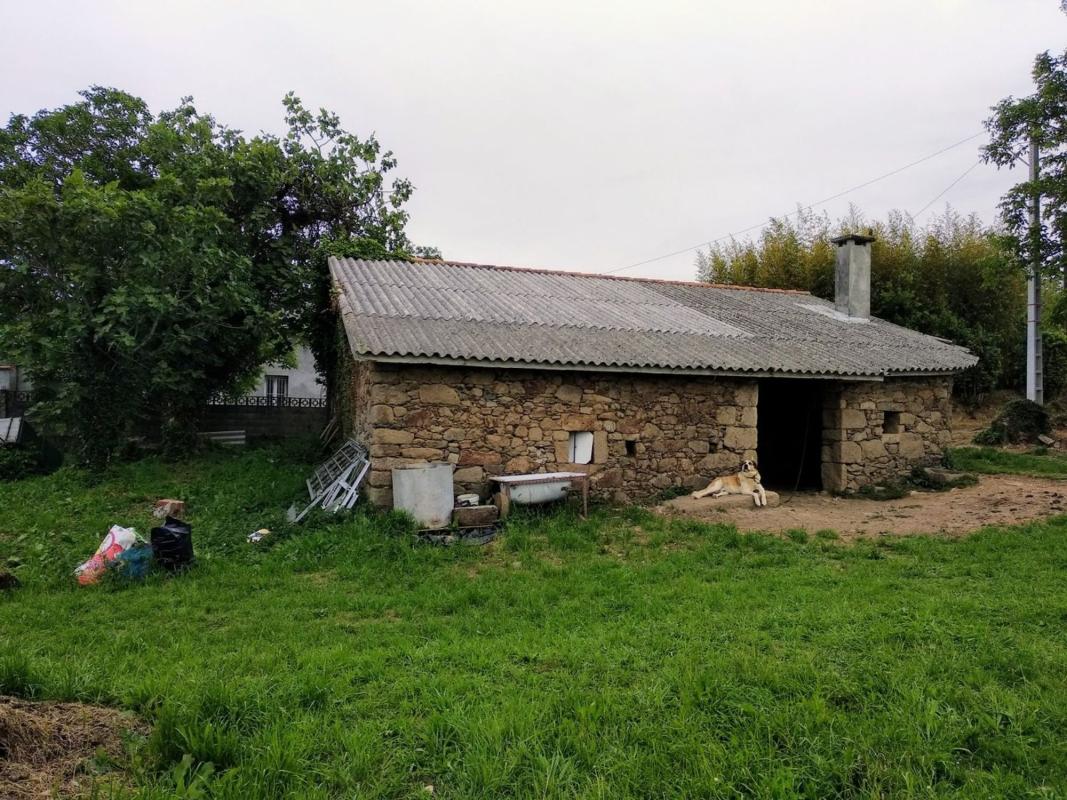 Properties for sale and rent in Spain photo 1