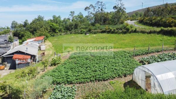 Casa de pueblo en Ortigueira photo 3