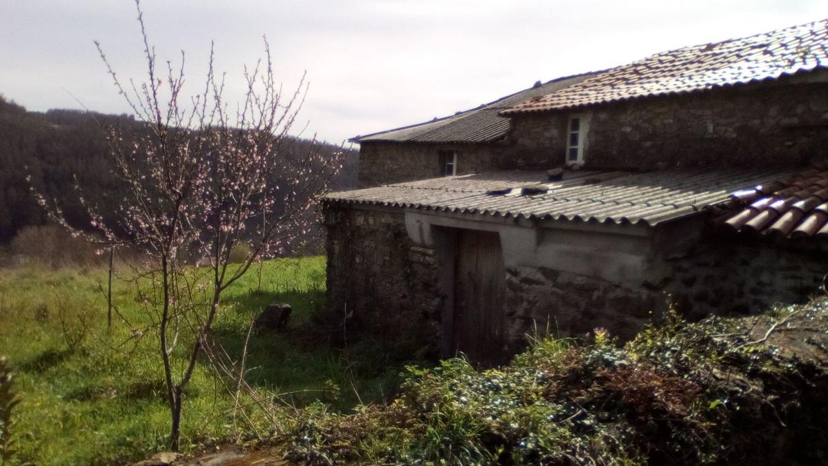 Propiedades en venta y alquiler en España photo 3