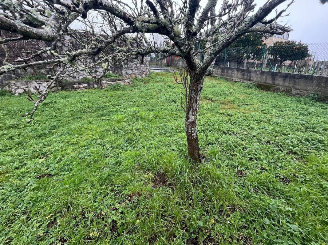 Недвижимость на продажу и в аренду в Испании photo 3