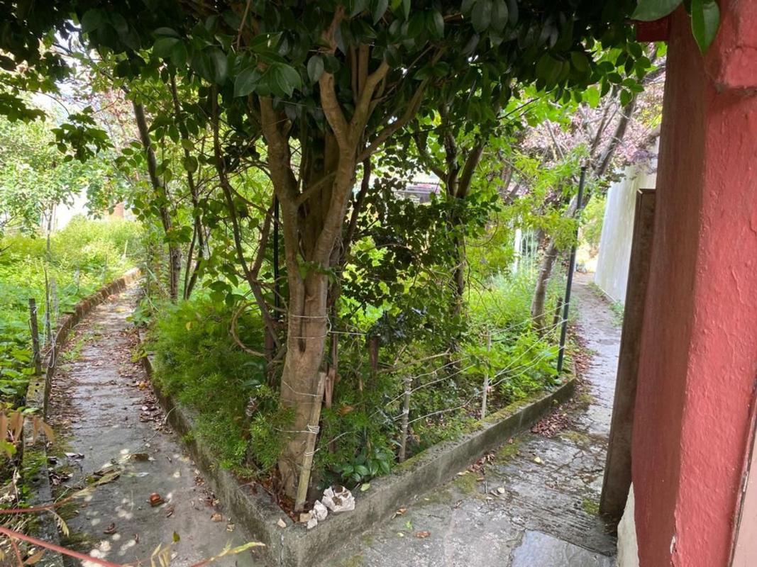 Propiedades en venta y alquiler en España photo 5