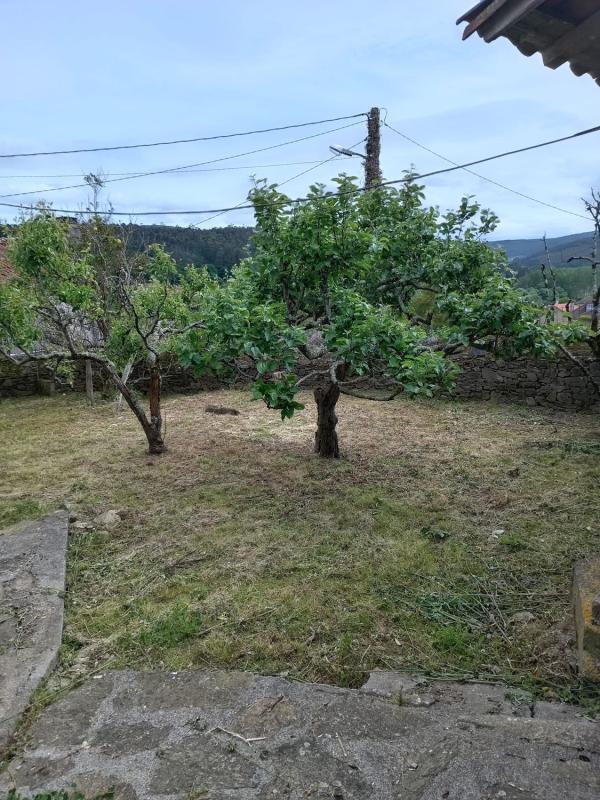 Недвижимость на продажу и в аренду в Испании photo 3