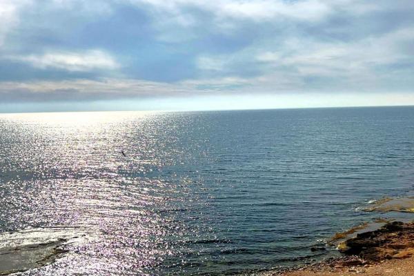 Venta de piso en Piso en Calle Navegantes, 4, Playa del Cura, Torrevieja, Torrevieja
 photo 4