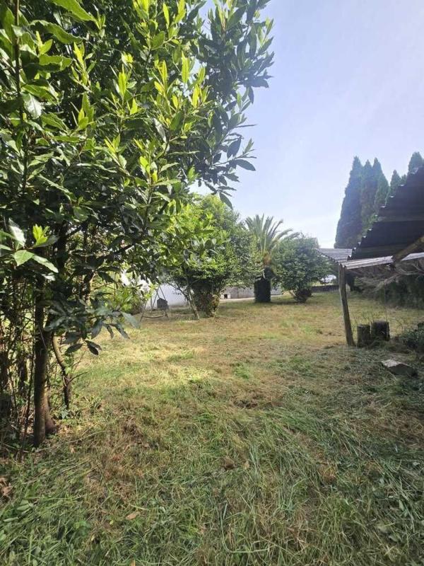 Sale of rural property in Finca rústica en Cedeira , Cedeira photo 4