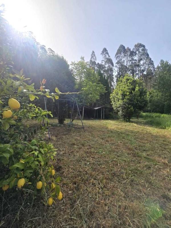 Sale of rural property in Finca rústica en Cedeira , Cedeira photo 5