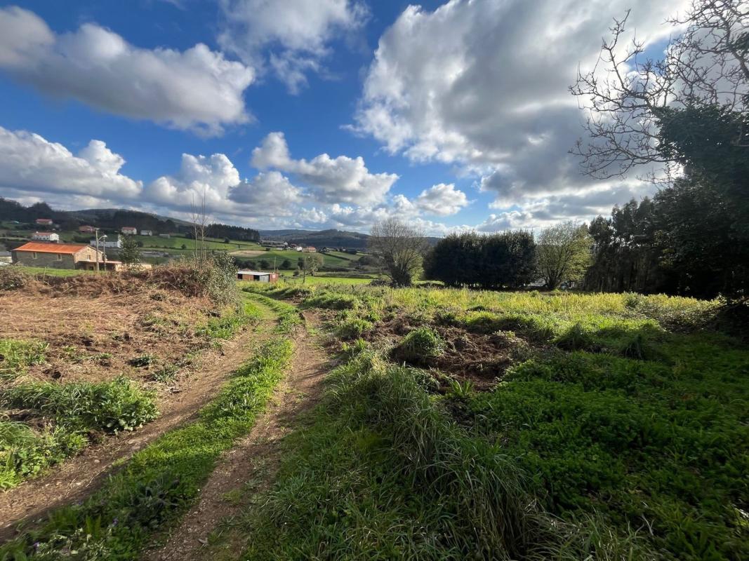 Properties for sale and rent in Spain photo 4