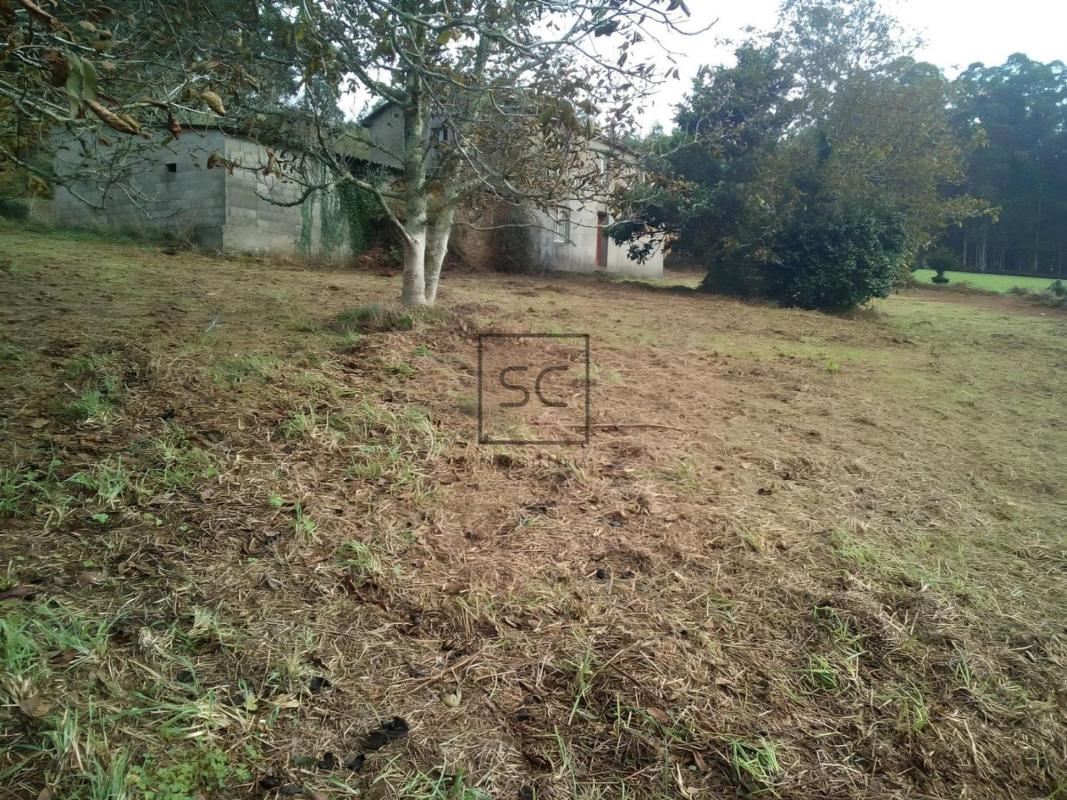 Properties for sale and rent in Spain photo 3