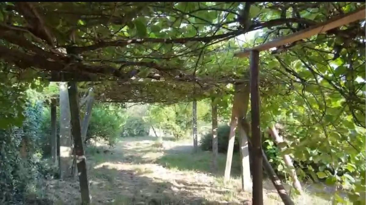 Properties for sale and rent in Spain photo 2