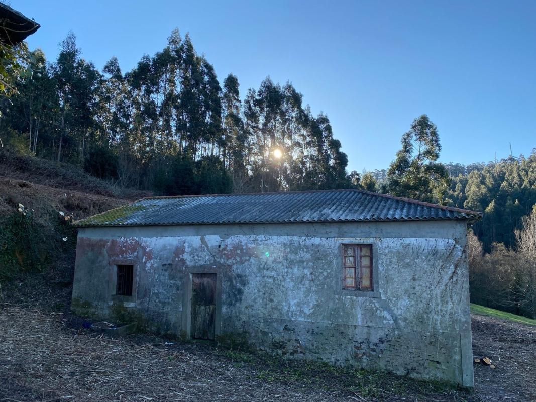 Sale of rural property in Finca rústica en As Casas Novas s/n, Valdoviño , Valdoviño photo 5