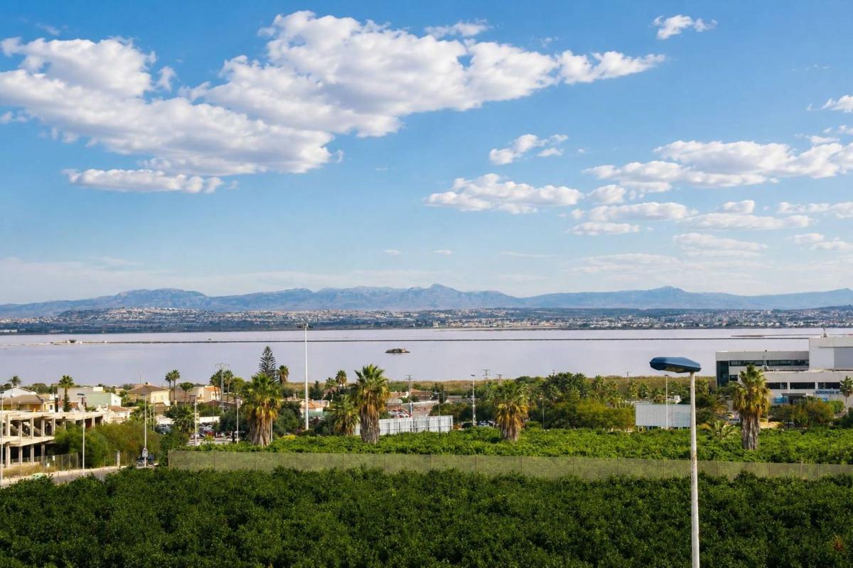 Sprzedaż niezależnego domku jednorodzinnego w  Chalet pareado en Altos Los, Los Balcones - Los Altos del Edén, Torrevieja, Torrevieja photo 3