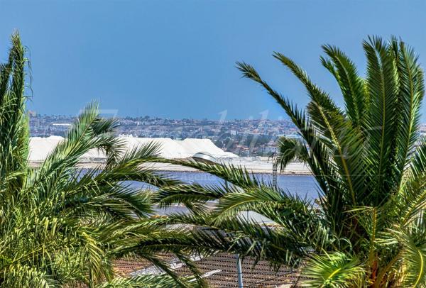 Chalet pareado en Avenida de la Asuncion, Los Balcones - Los Altos del Edén, Torrevieja thumbnail 2