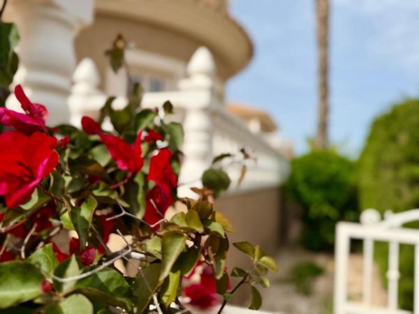 Casa o chalet independiente en Calle Veleta, Los Balcones - Los Altos del Edén, Torrevieja thumbnail 1