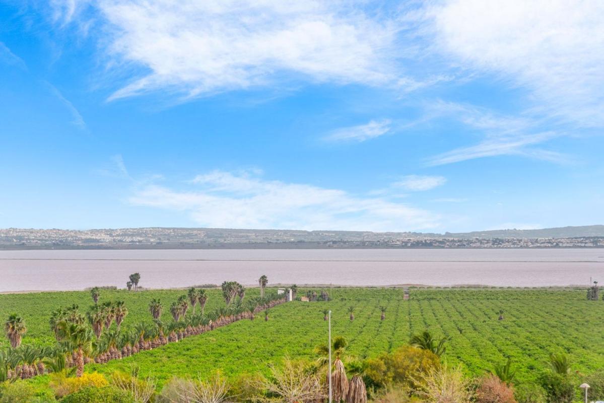 Продажа дуплекса на Dúplex en Los Balcones - Los Altos del Edén, Torrevieja, Торревьеха photo 2