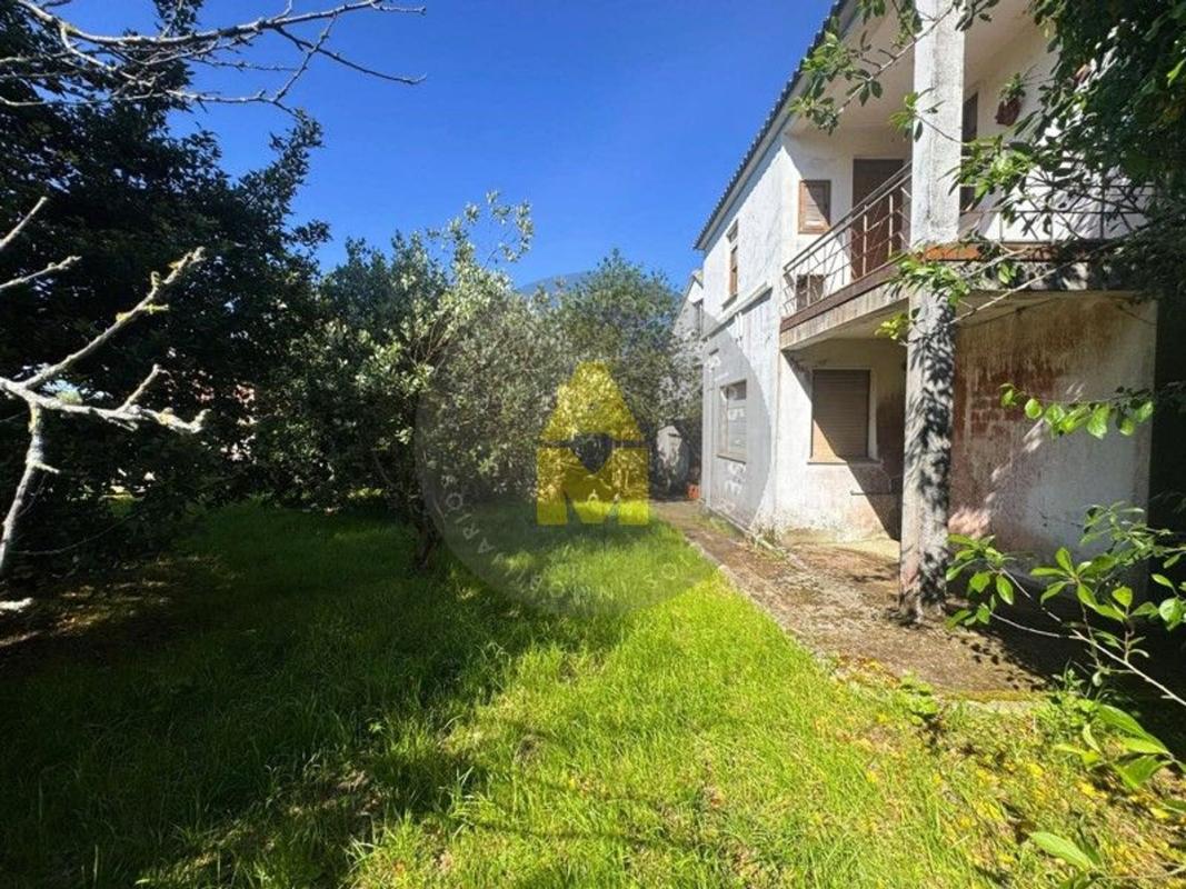 Properties for sale and rent in Spain photo 5