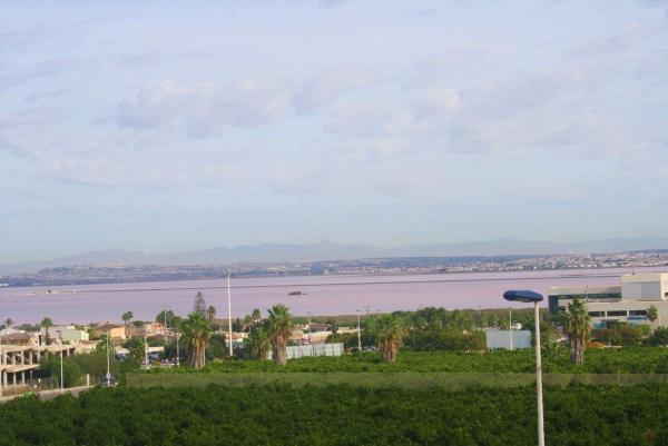 Chalet adosado en Los Balcones - Los Altos del Edén, Torrevieja photo 4
