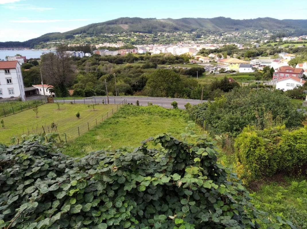 Properties for sale and rent in Spain photo 1