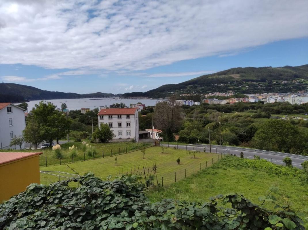 Properties for sale and rent in Spain photo 2