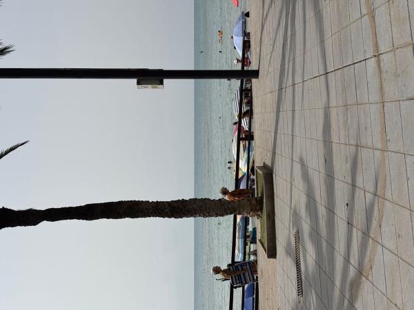 Venta de piso en Piso en Avenida de los Marineros, 5, Playa del Cura, Torrevieja, Torrevieja
 photo 4