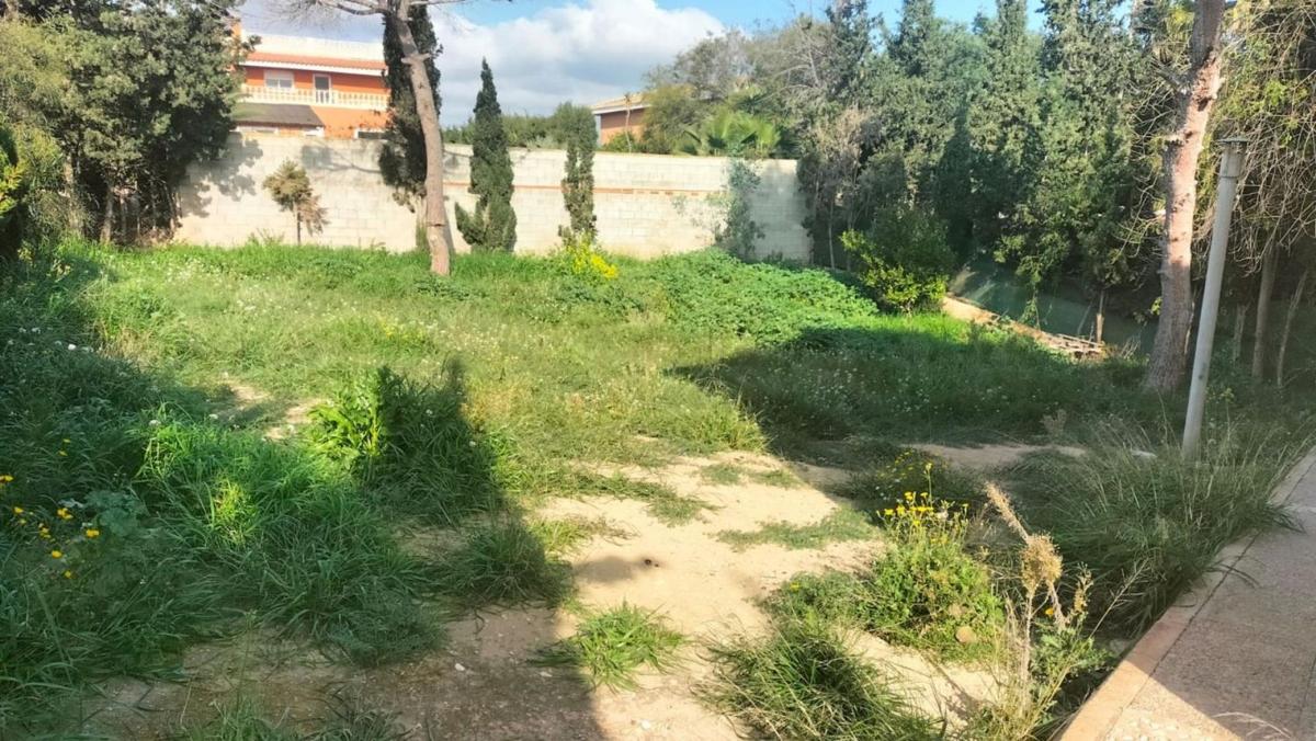 Properties for sale and rent in Spain photo 4