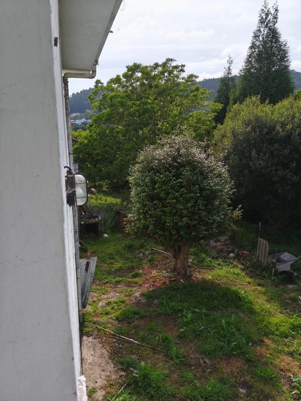 Properties for sale and rent in Spain photo 5