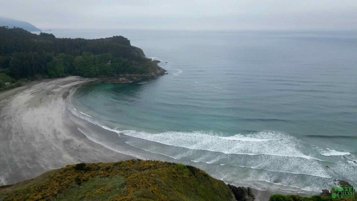 Properties for sale and rent in Spain photo 3