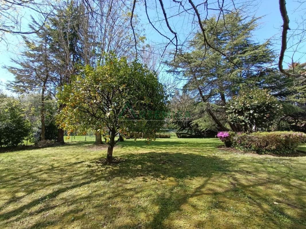 Properties for sale and rent in Spain photo 1